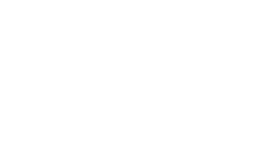 GRUPO VERZANI & SANDRINI