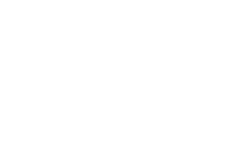 SEGURPRO