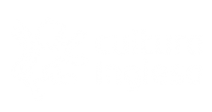 CULTURA INGLESA