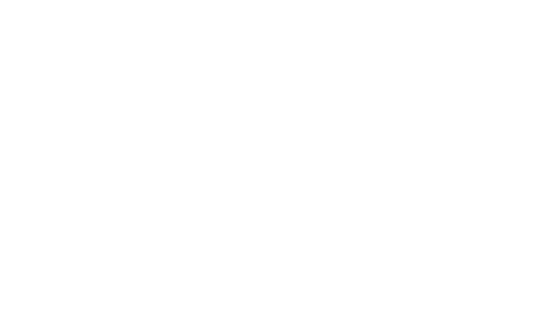 EAGLE'S FLIGHT