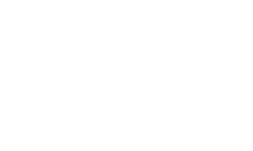 Tailor Exec