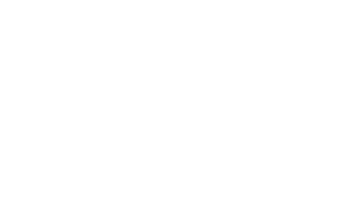 FGV IN COMPANY