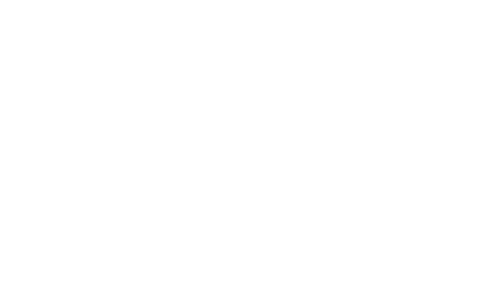 FLASH