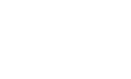 Devos Executive Search