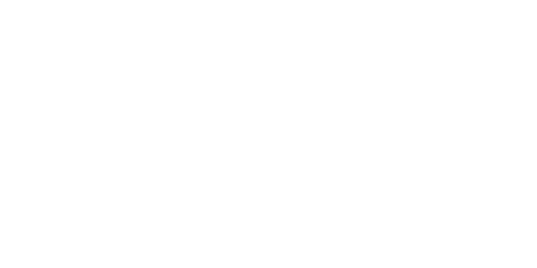 C-Level Experience: São Paulo