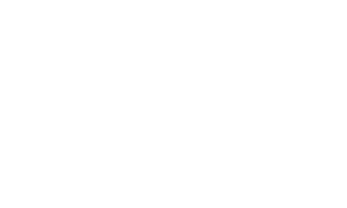 Sinerlog