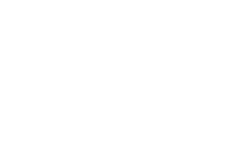 Pin People