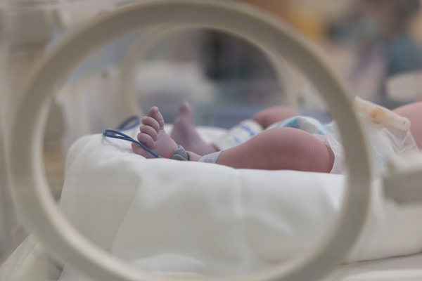 Empresas devem se preparar para possíveis licenças-maternidade de 240 dias