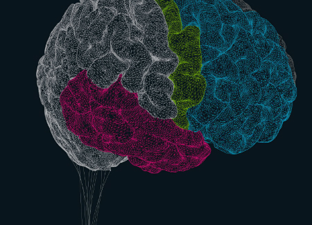 Neurociência da mudança: como isso pode impactar a rotina das equipes